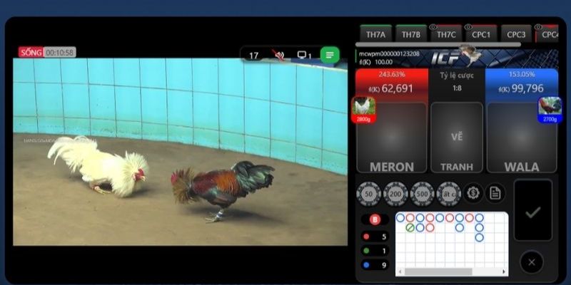4 Kinh Nghiệm Chơi Đá Gà Chuẩn Xác Từ Các Cao Thủ Lão Làng 3 Kinh nghiệm chơi đá gà cần thiết cho tân binh