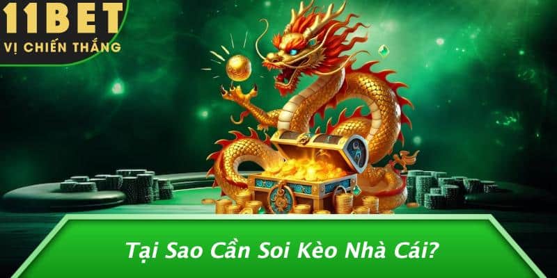 Tại Sao Cần Soi Kèo Nhà Cái?